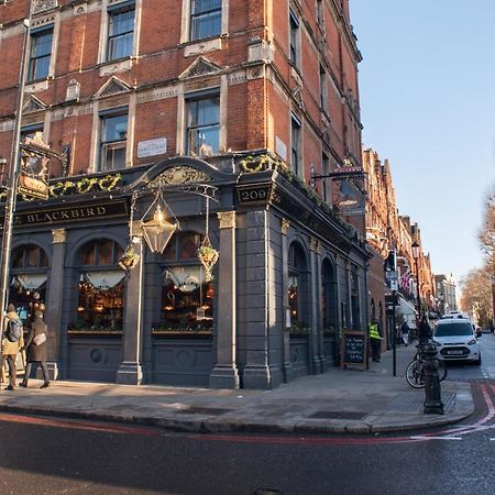 Blackbird London Luaran gambar