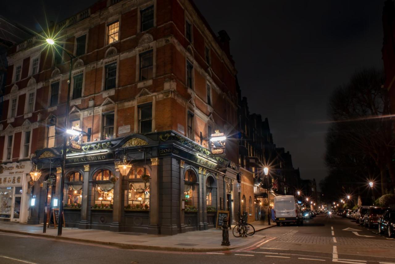 Blackbird London Luaran gambar